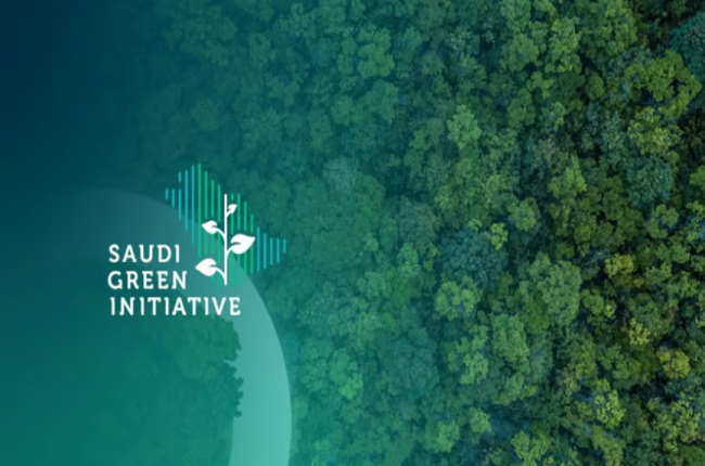 مشاريع مبادرة السعودية الخضراء