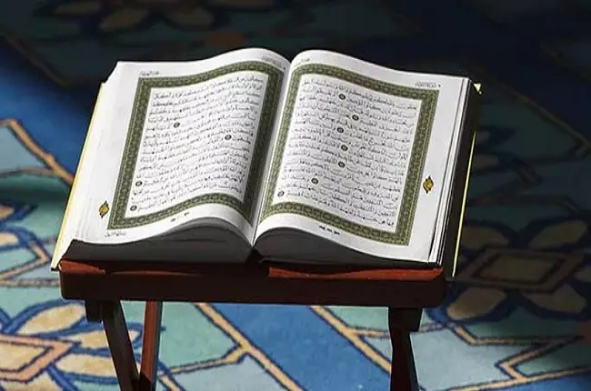التسجيل في المقرأة الإلكترونية