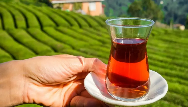 انواع الشاي