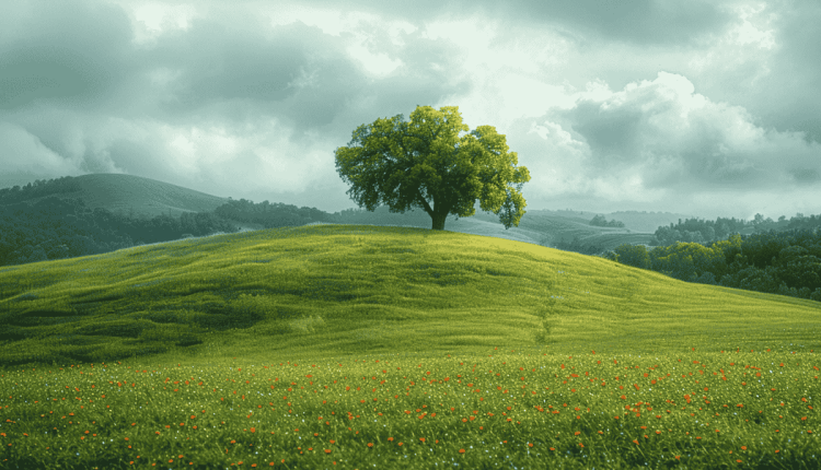 الطبيعة غذاء للروح وأثرها على الصحة النفسية